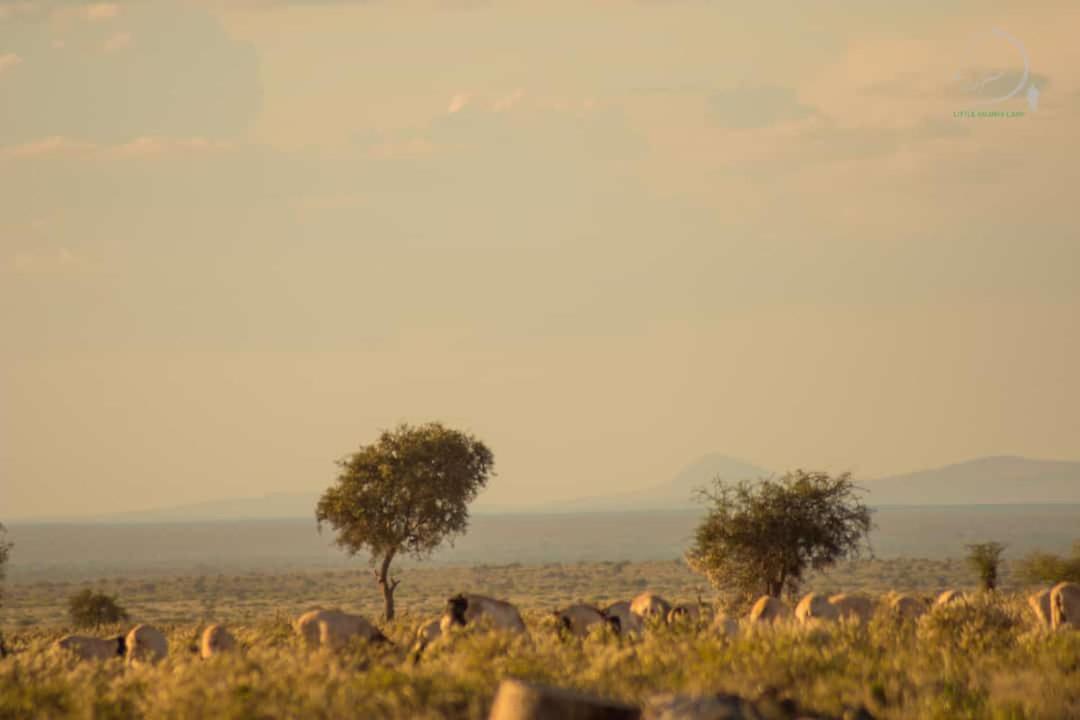 Amanya 3-Bedroom Hut Amboseli Exterior foto